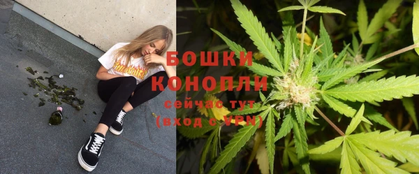 прущие крисы Гусь-Хрустальный