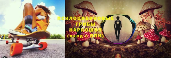 молекула духа Алзамай